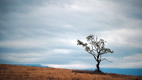 Руку убери!