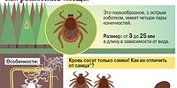 Поразительные паразиты