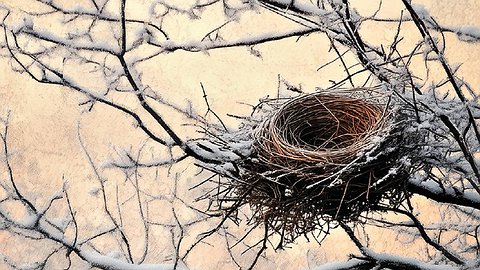 Не хотеть детей — грех?